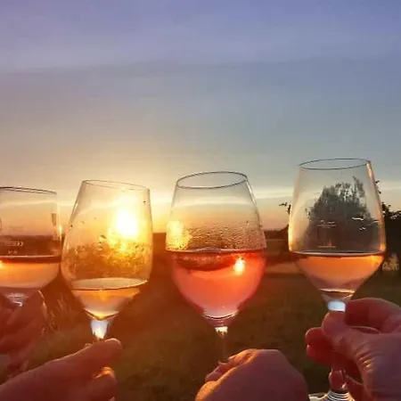 Appartamento Weingut Will & Wuerz Riesling Schwaigern