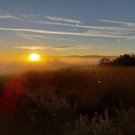 Weingut Will & Wuerz Riesling Apartament